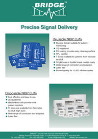 nibp-flyer-pic-en.png